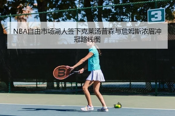 NBA自由市场湖人签下克莱汤普森与詹姆斯浓眉冲冠路线图